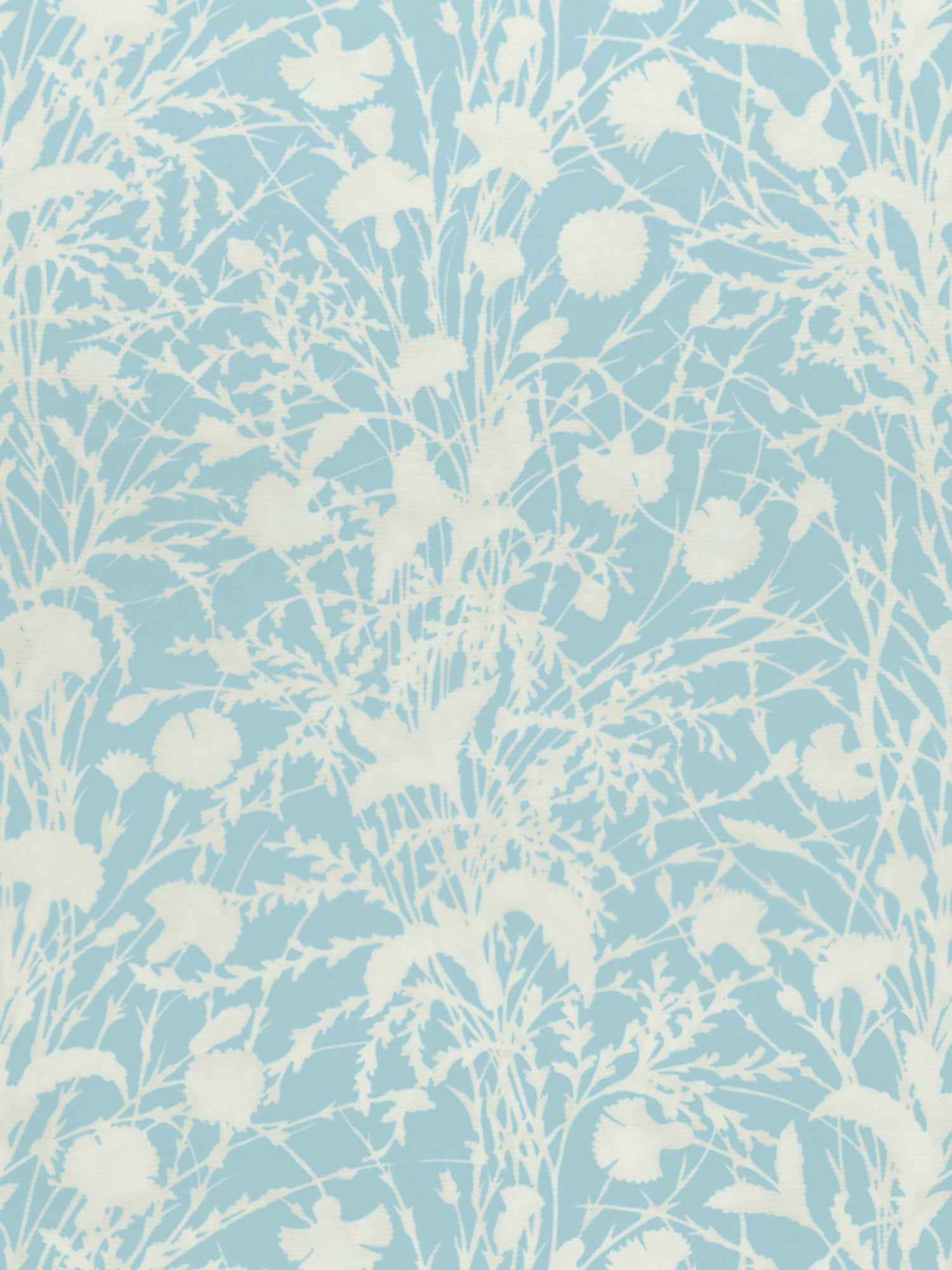 Wildflower fabric in morning sky color - pattern number GW 000216623 - by Scalamandre in the Grey Watkins collection