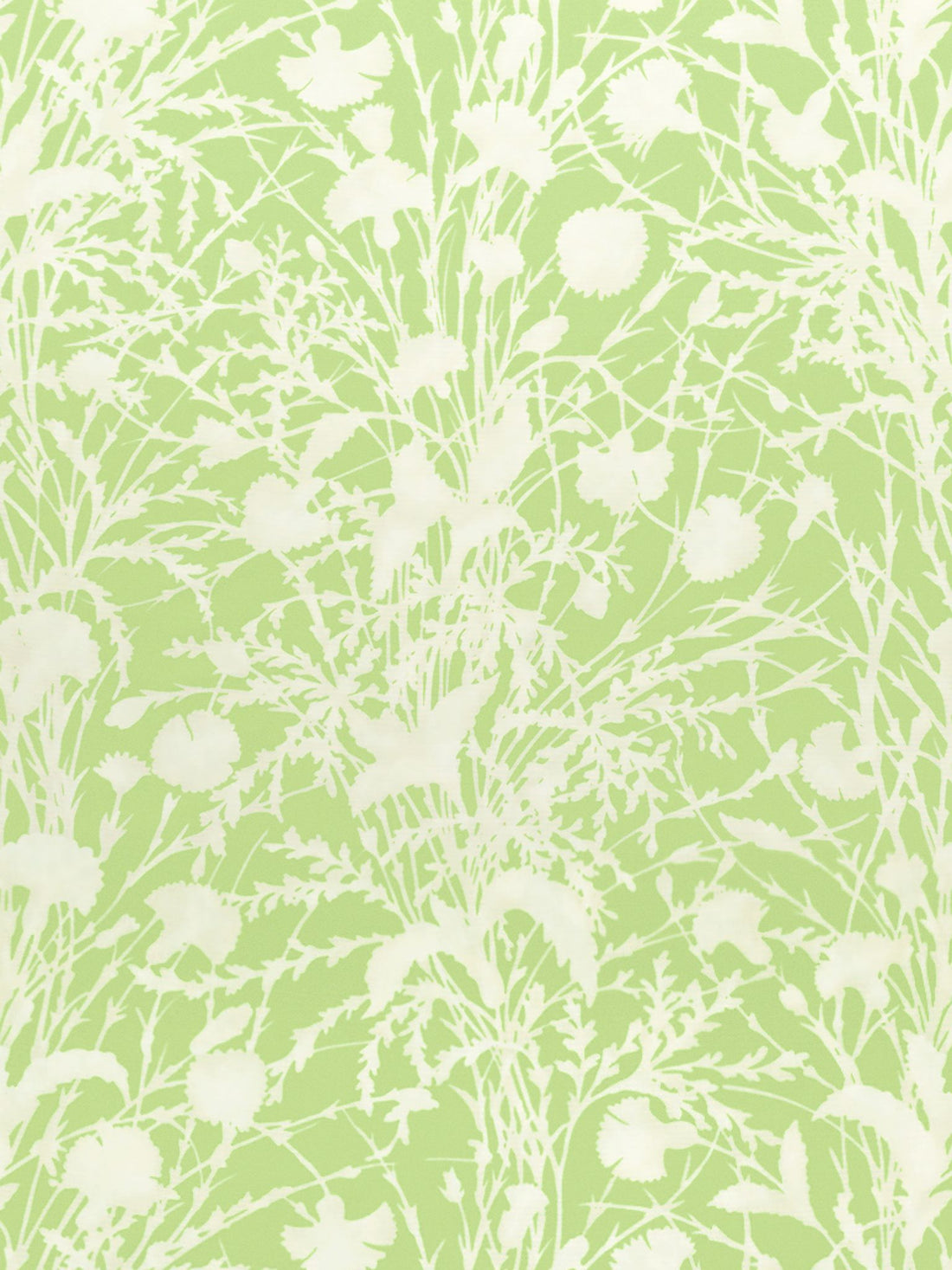 Wildflower fabric in grasshopper color - pattern number GW 000316623 - by Scalamandre in the Grey Watkins collection