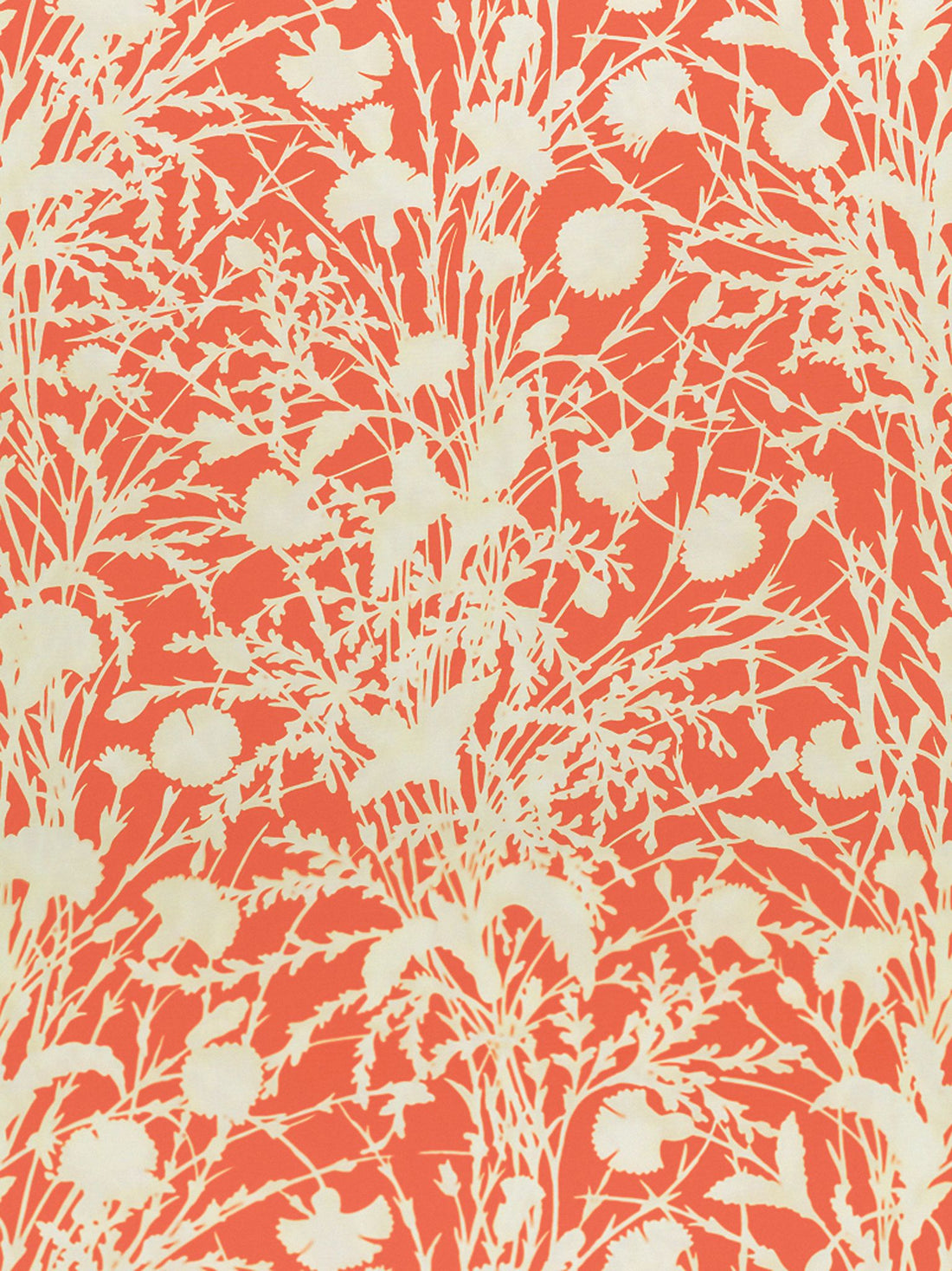 Wildflower fabric in guava color - pattern number GW 000416623 - by Scalamandre in the Grey Watkins collection