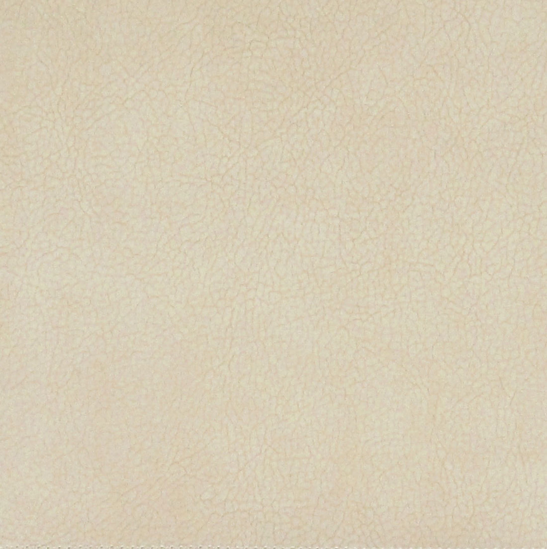 Georgia Suede fabric in macadamia color - pattern number H6 37435937 - by Scalamandre in the Old World Weavers collection