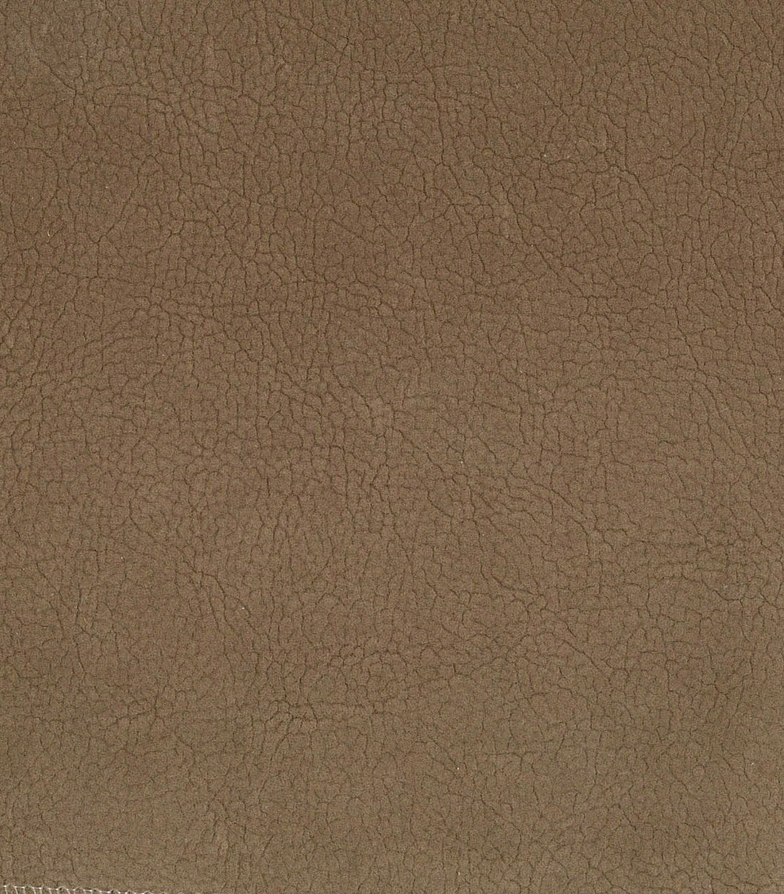 Georgia Suede fabric in twig color - pattern number H6 37505937 - by Scalamandre in the Old World Weavers collection