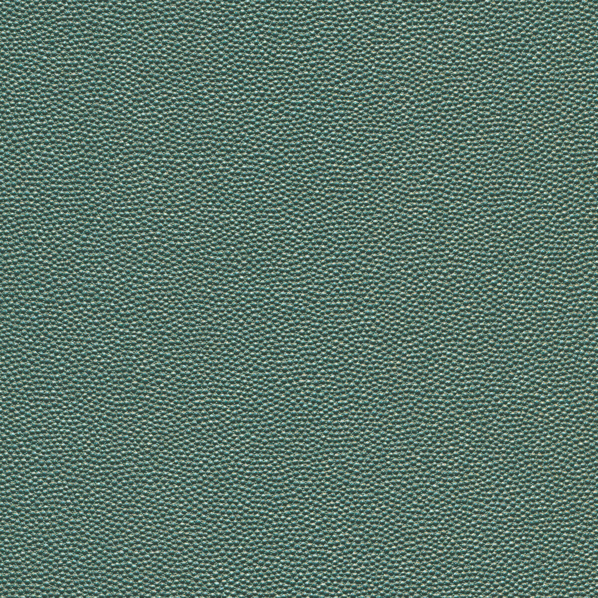 Hammer fabric in hammer-35 color - pattern number HAMMER.35.0 - by Kravet Design in the Faux Leather IV collection