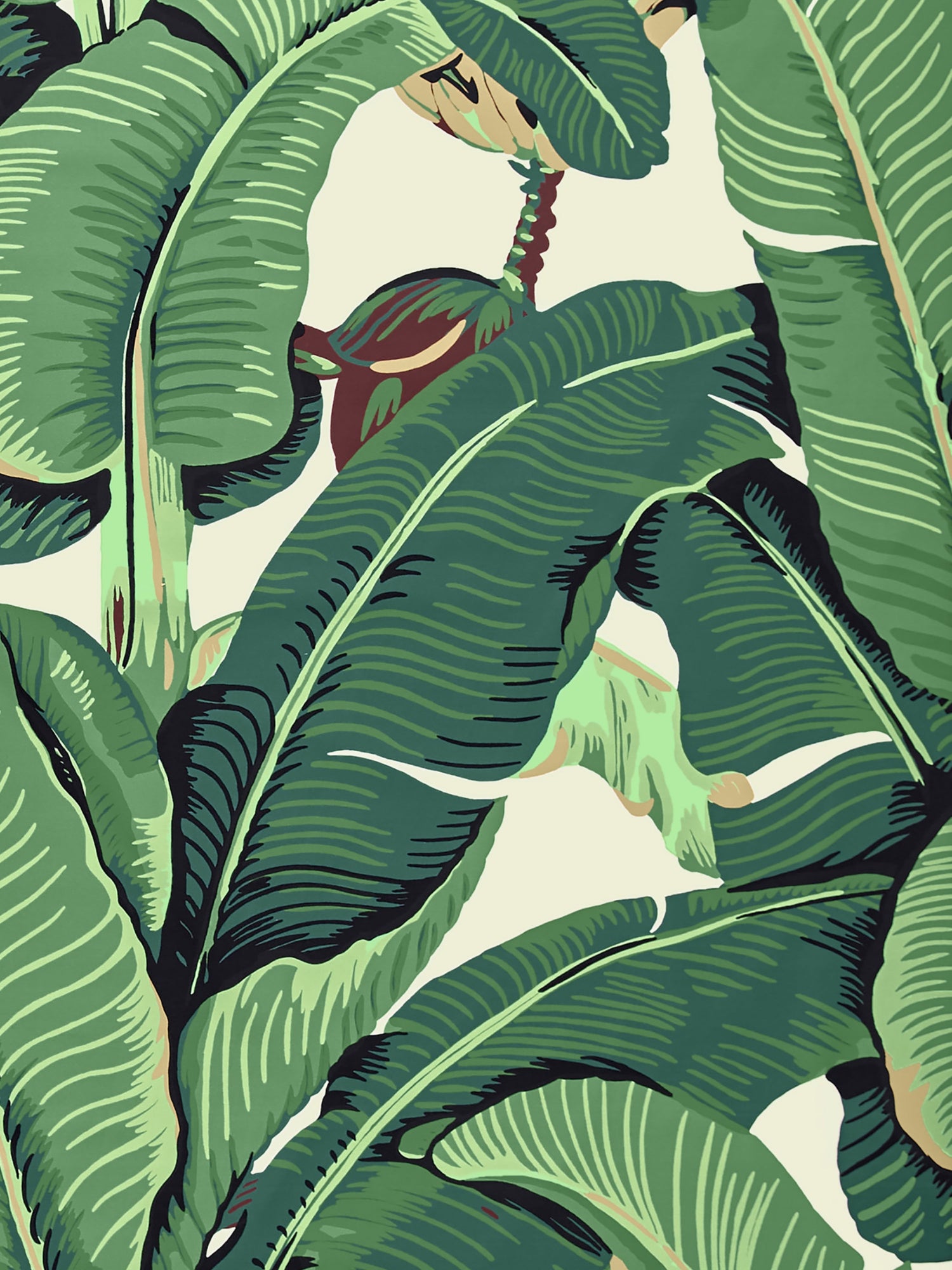 Hinson Palm - Cotton Print fabric in green color - pattern number HN 000142010 - by Scalamandre in the Stark Scalamandre Fabric LLC collection