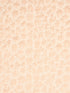 Joanna fabric in peach color - pattern number HN 000842011 - by Scalamandre in the Stark Scalamandre Fabric LLC collection