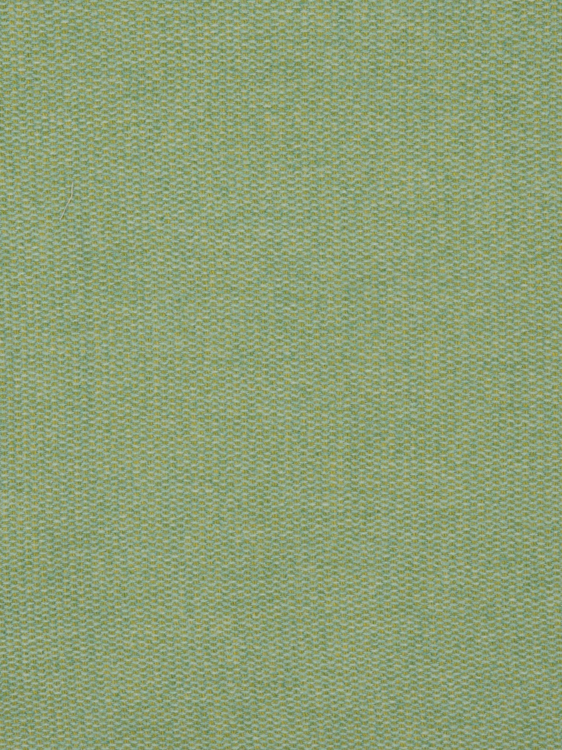 Morgan fabric in green color - pattern number HN 000842015 - by Scalamandre in the Stark Scalamandre Fabric LLC collection