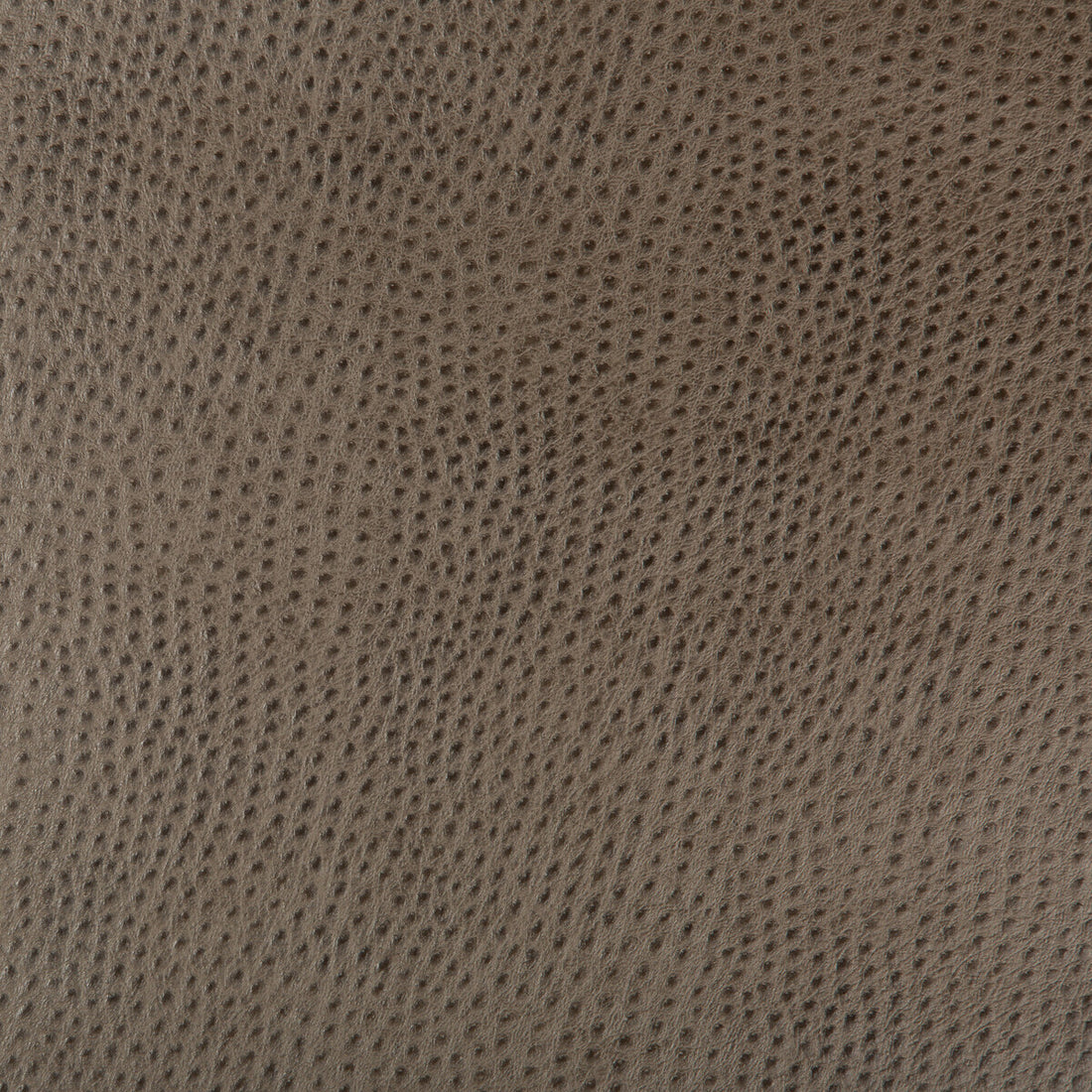 Kravet Design fabric in hubble-106 color - pattern HUBBLE.106.0 - by Kravet Design