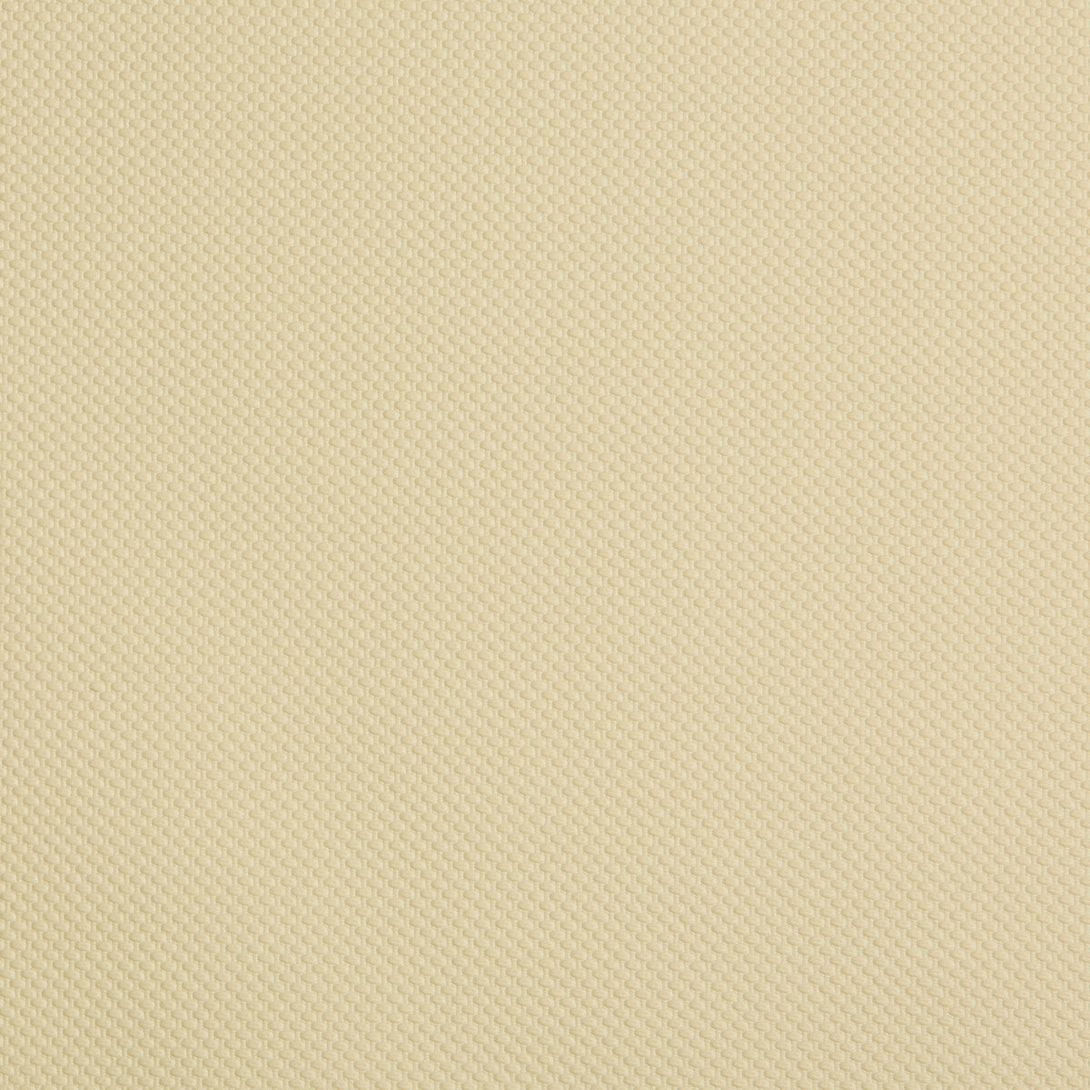 Iron Man fabric in sesame color - pattern IRON MAN.1611.0 - by Kravet Contract in the Faux Leather Extreme Performance collection