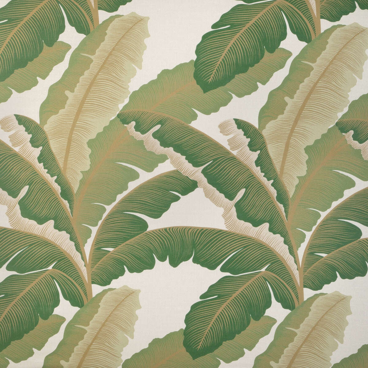 Isla Royal fabric in golden palm color - pattern ISLA ROYAL.430.0 - by Kravet Couture in the Casa Botanica collection