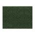 Roma fabric in sage color - pattern JAG-50027.3000.0 - by Brunschwig & Fils in the Jagtar collection