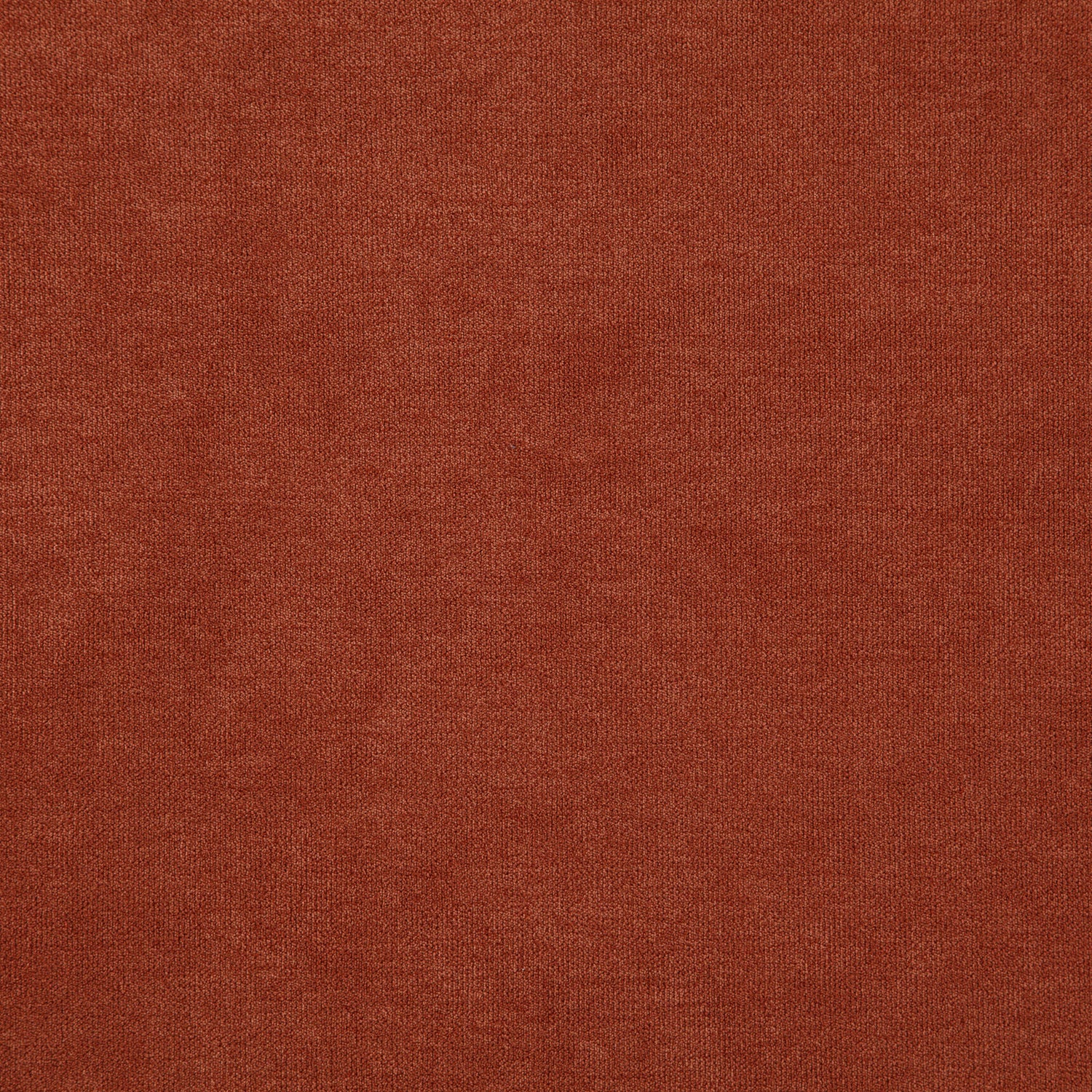 Koala fabric in 45 color - pattern number Koala45J8471 - by JF Fabrics in the Everyday Koala collection