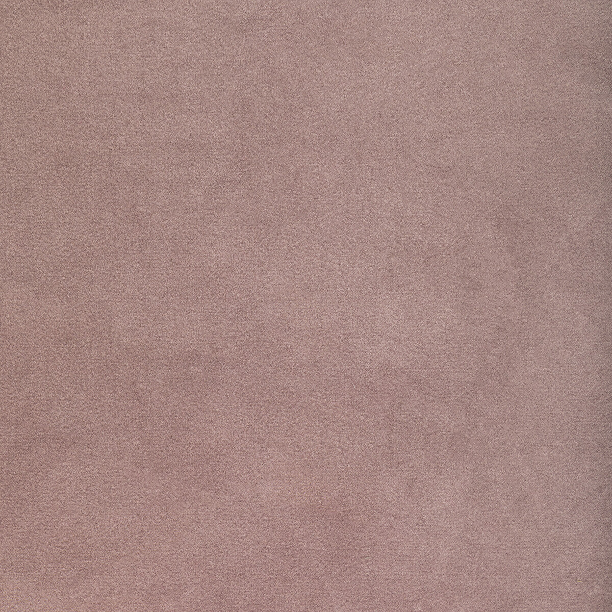 Rocco Velvet fabric in wisteria color - pattern KW-10065.110.0 - by Kravet Contract