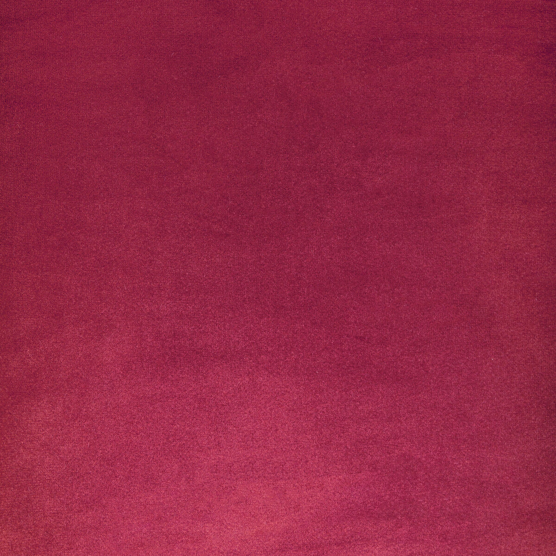 Rocco Velvet fabric in rosa color - pattern KW-10065.3685MG39.0 - by Kravet Contract