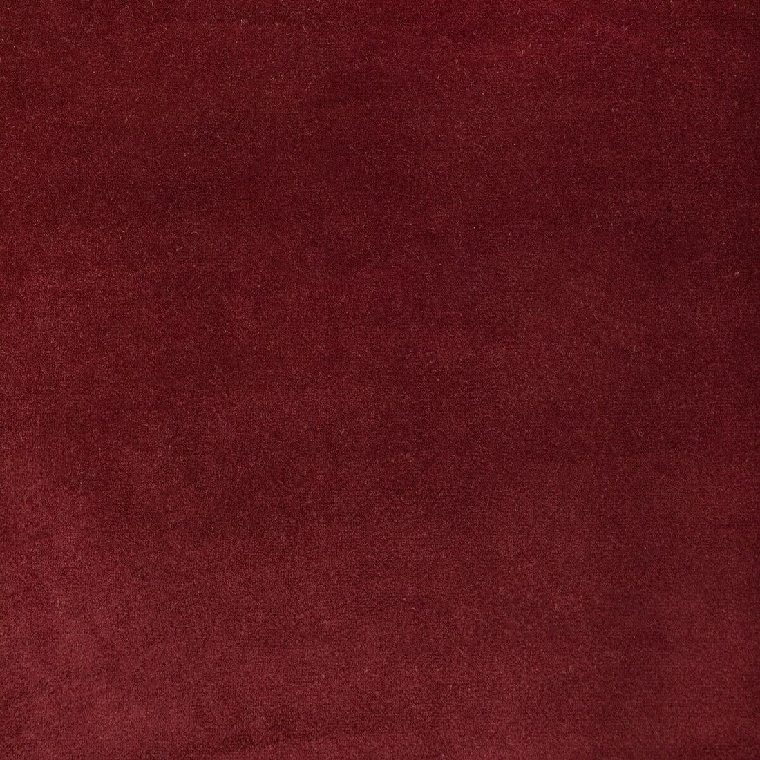 Rocco Velvet fabric in currant color - pattern KW-10065.3685MG41.0 - by Kravet Contract