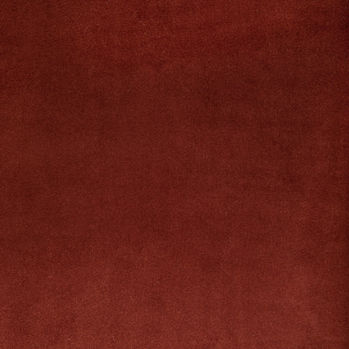 Rocco Velvet fabric in clay color - pattern KW-10065.3685MG46.0 - by Kravet Contract