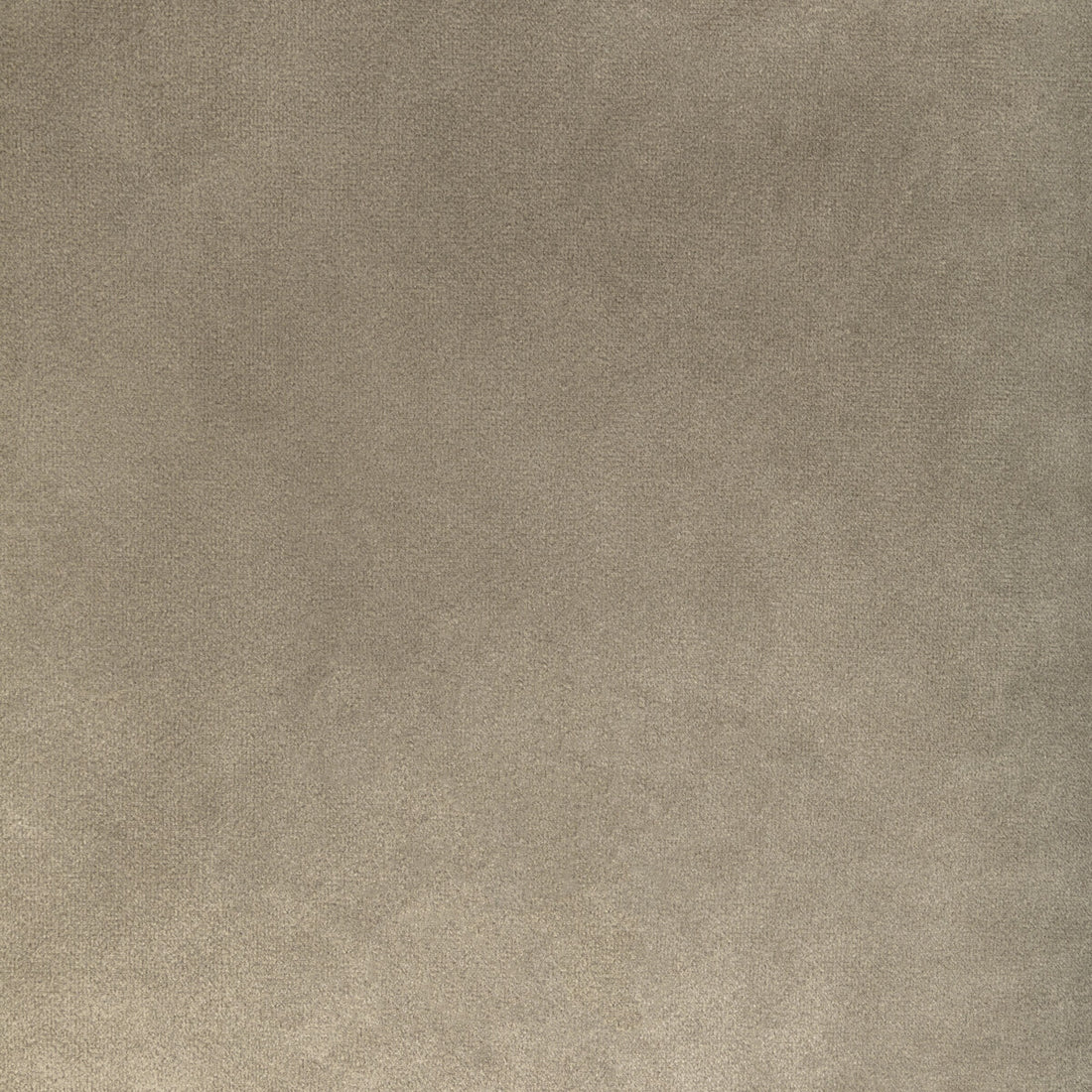 Rocco Velvet fabric in stone color - pattern KW-10065.3685MG8.0 - by Kravet Contract