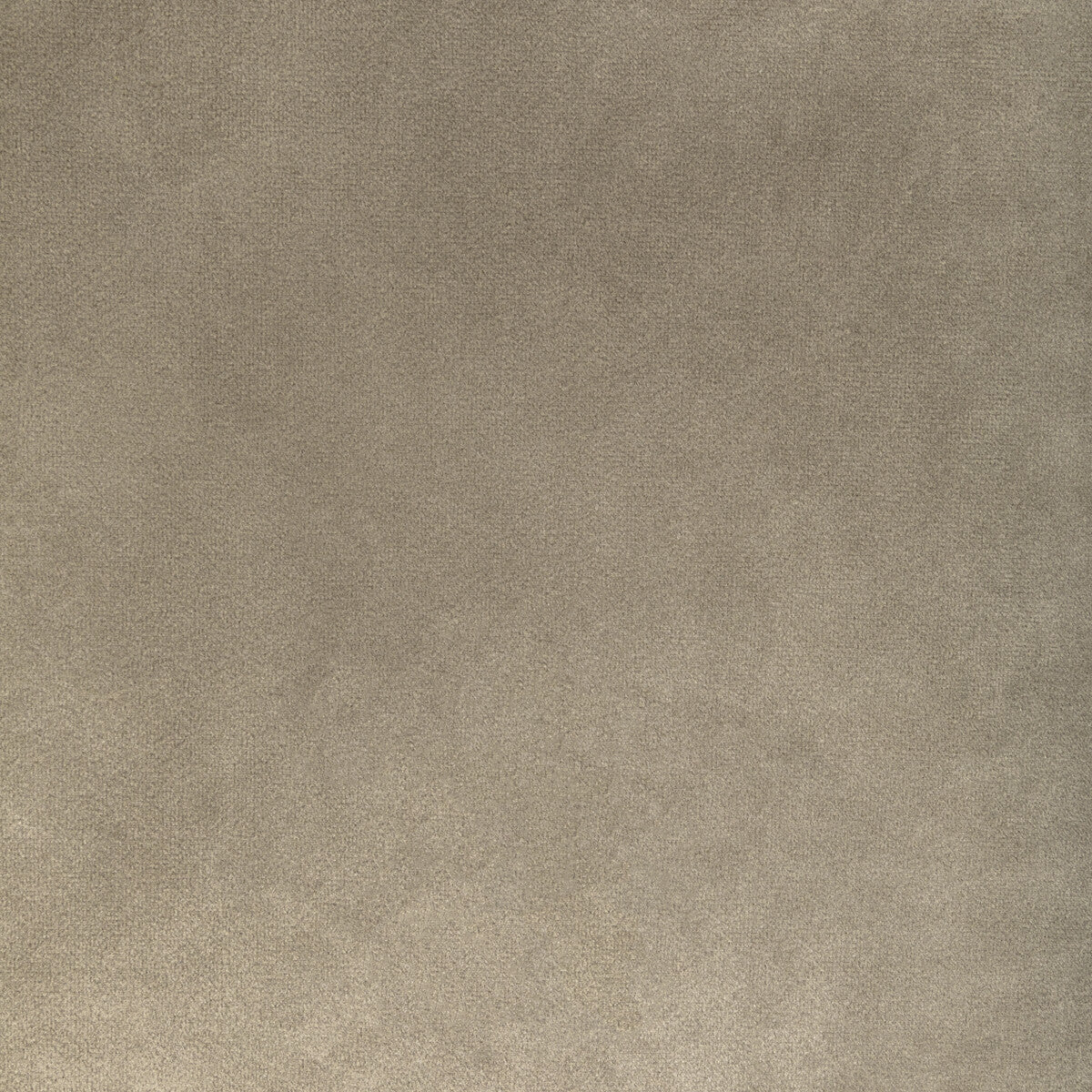 Rocco Velvet fabric in stone color - pattern KW-10065.3685MG8.0 - by Kravet Contract