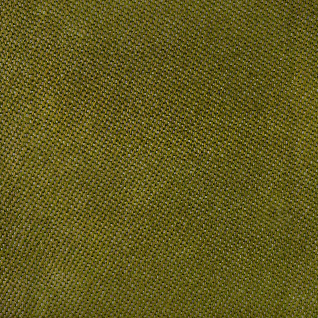 Max fabric in verde color - pattern LCT1067.006.0 - by Gaston y Daniela in the Lorenzo Castillo VI collection