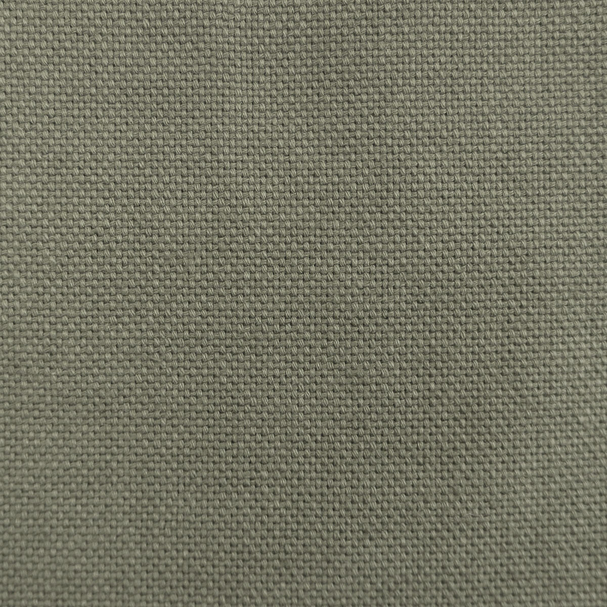 Dobra fabric in gris verdoso color - pattern LCT1075.046.0 - by Gaston y Daniela in the Lorenzo Castillo VII The Rectory collection
