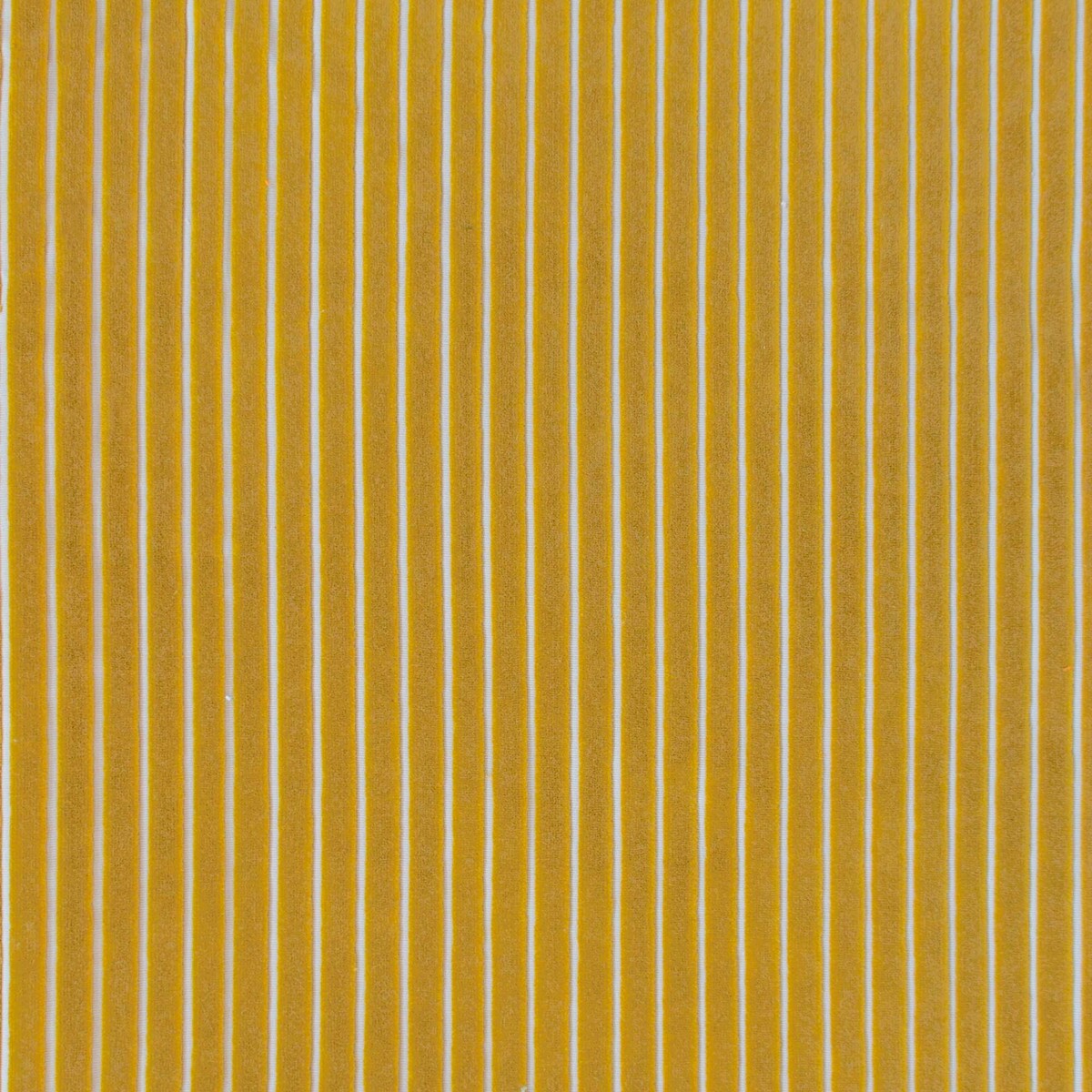 Mayrit fabric in amarillo color - pattern LCT1111.018.0 - by Gaston y Daniela in the Lorenzo Castillo IX Hesperia collection