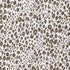 Leopardos fabric in java color - pattern LEOPARDOS.6116.0 - by Kravet Basics in the Small Scale Prints collection