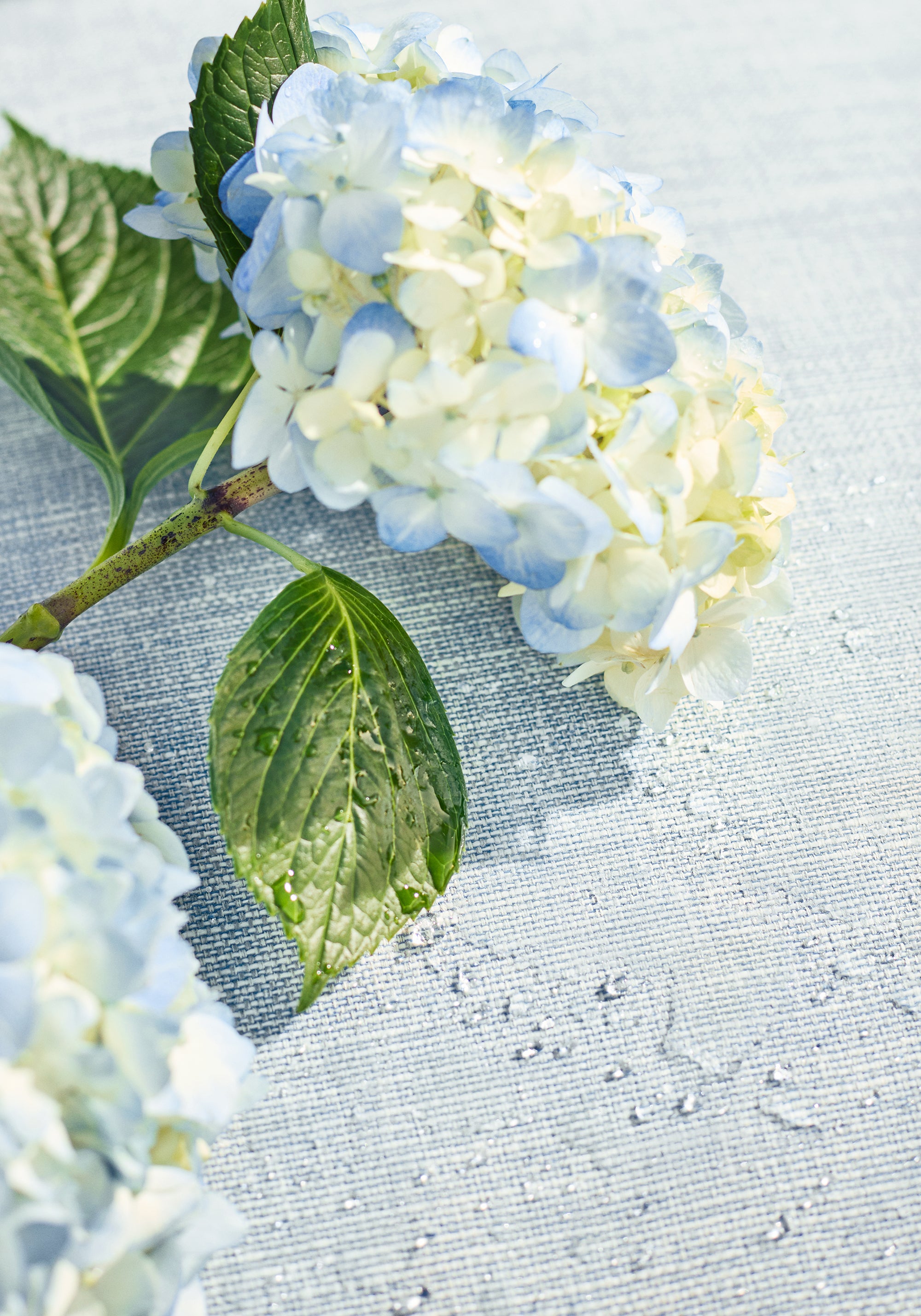 Stain resistant finley fabric in chambray color - pattern number W81605 - by Thibaut fabrics