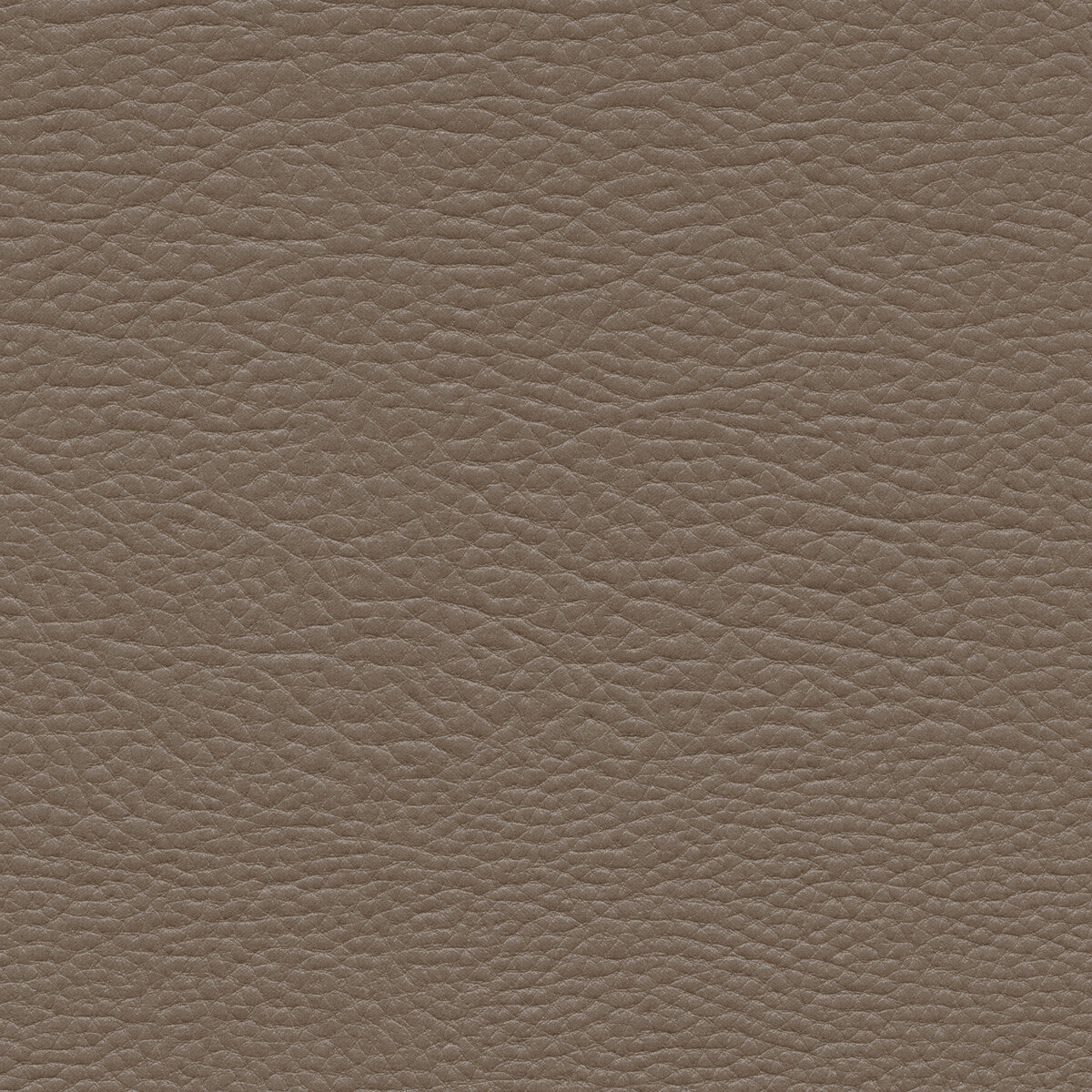 Mashak fabric in mashak-21 color - pattern number MASHAK.21.0 - by Kravet Design in the Faux Leather IV collection