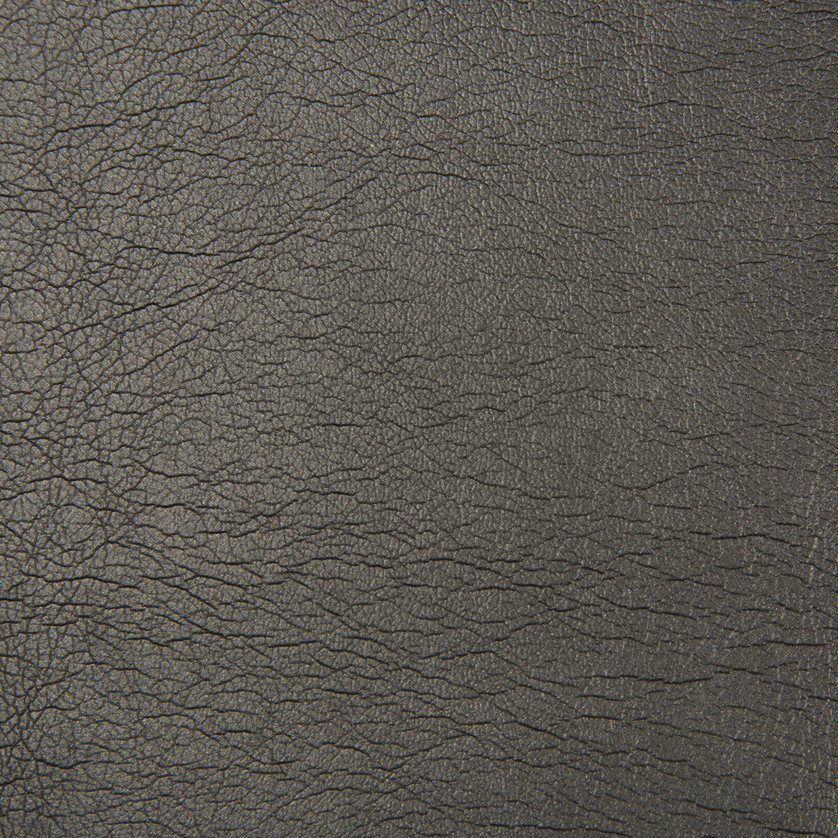 Maximo fabric in obsidian color - pattern MAXIMO.8.0 - by Kravet Contract