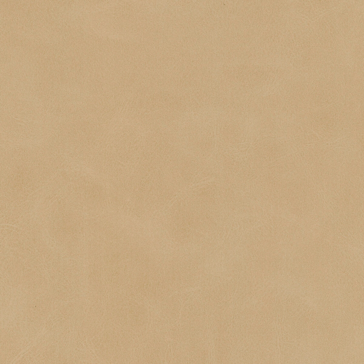 Mojari fabric in mojari-11 color - pattern number MOJARI.11.0 - by Kravet Design in the Faux Leather IV collection