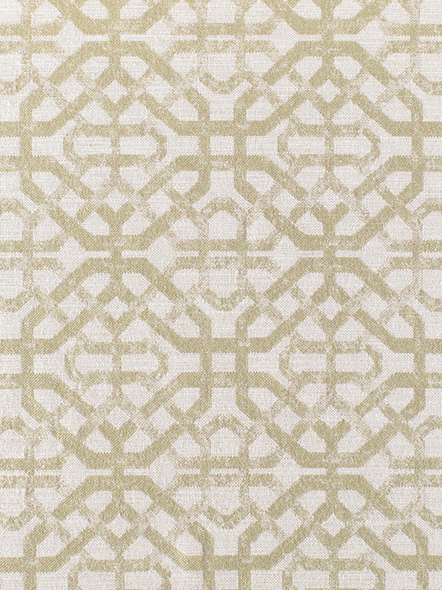 Porta Fregio fabric in leaf color - pattern number N3 00033133 - by Scalamandre in the Old World Weavers collection