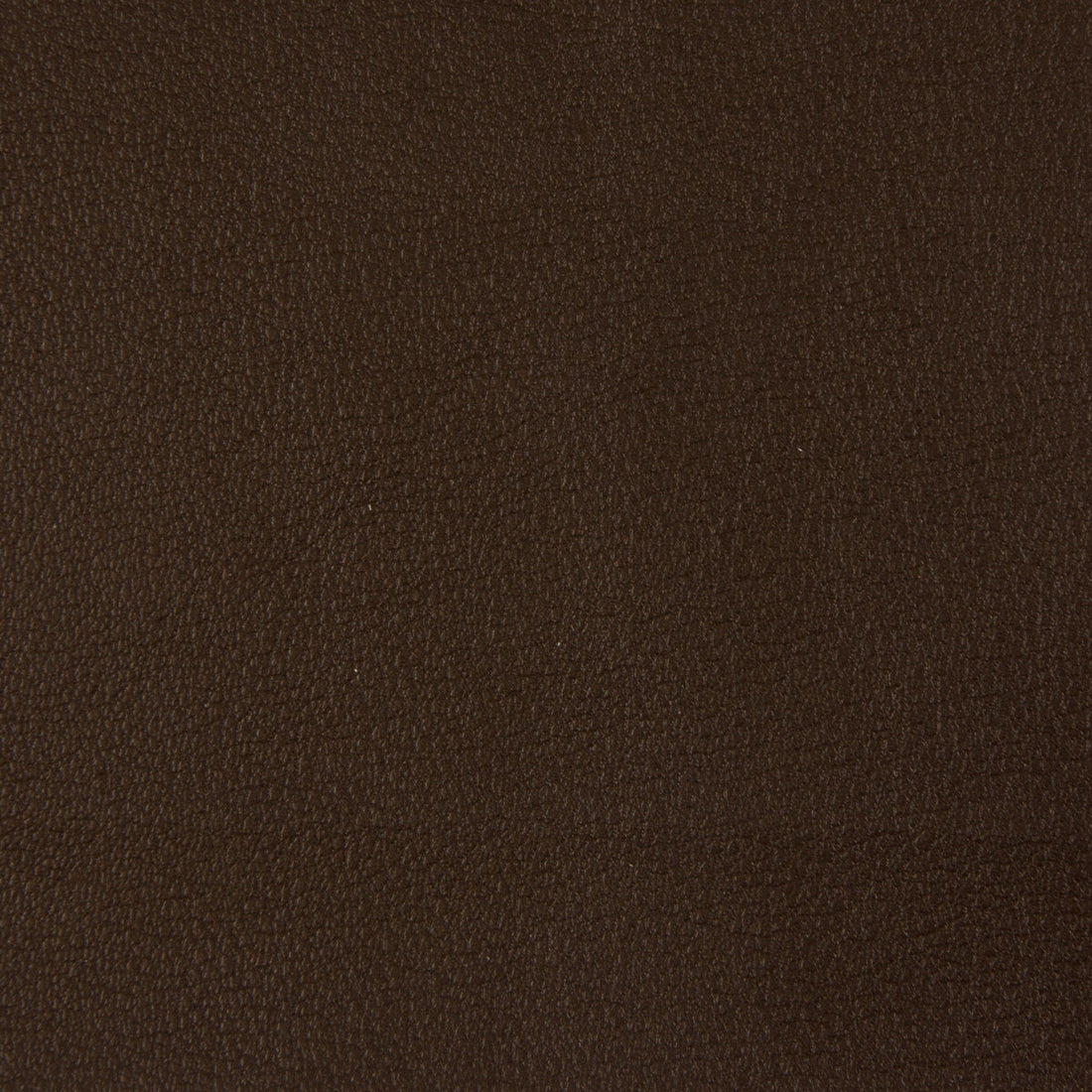 Kravet Smart fabric in newt-66 color - pattern NEWT.66.0 - by Kravet Smart