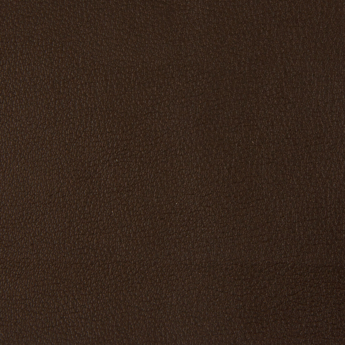 Kravet Smart fabric in newt-66 color - pattern NEWT.66.0 - by Kravet Smart