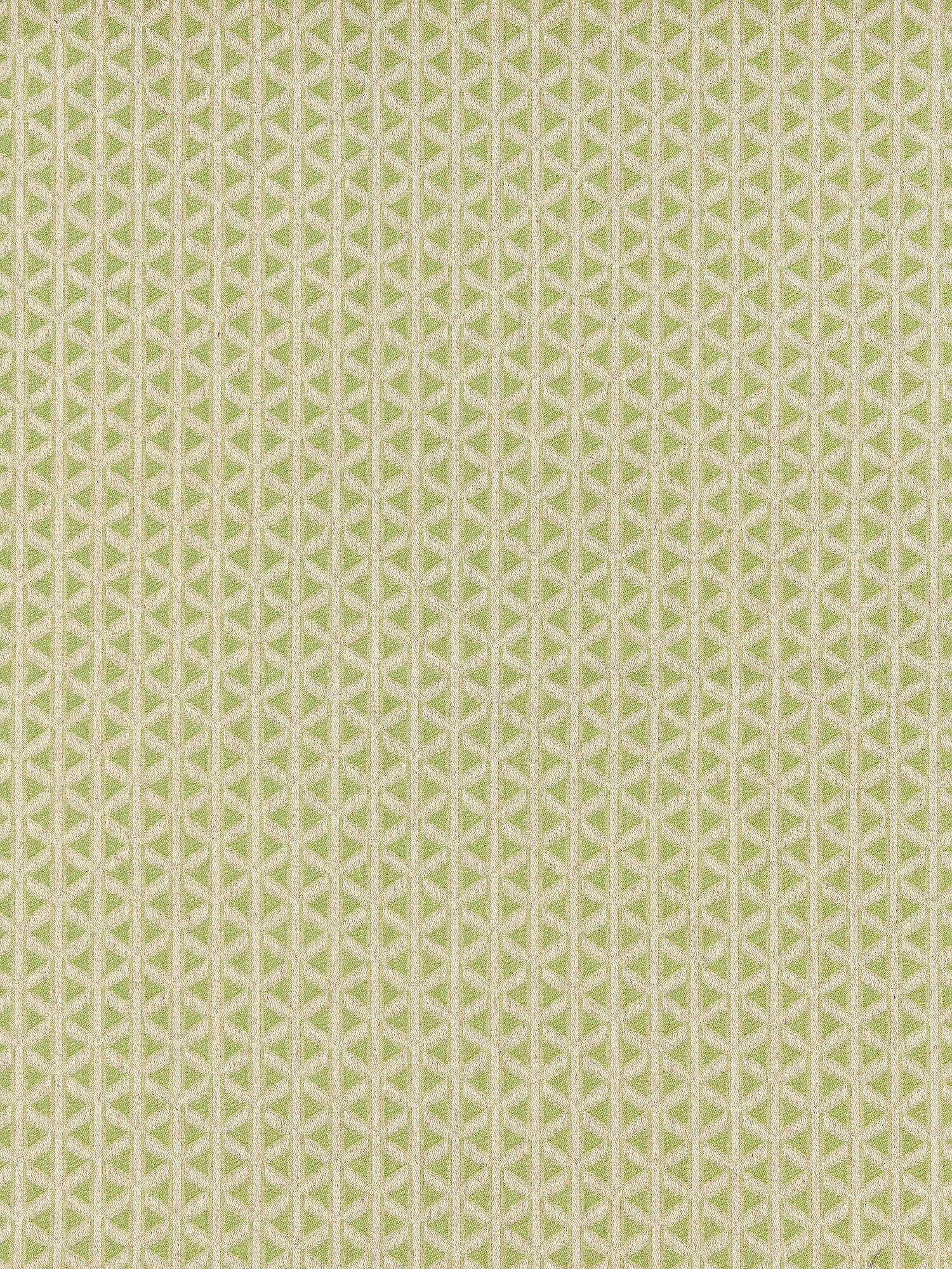 Cross Channel fabric in spring green color - pattern number NK 0003CROS - by Scalamandre in the Old World Weavers collection