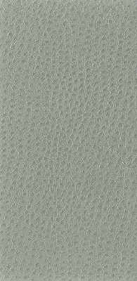 Kravet Basics fabric in nuostrich-11 color - pattern NUOSTRICH.11.0 - by Kravet Basics