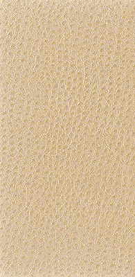 Nuostrich fabric in putty color - pattern NUOSTRICH.1116.0 - by Kravet Basics