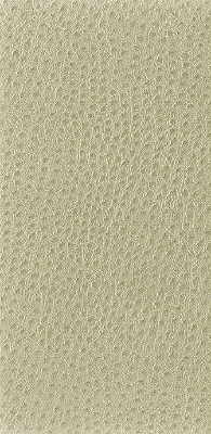 Kravet Basics fabric in nuostrich-116 color - pattern NUOSTRICH.116.0 - by Kravet Basics