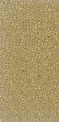 Kravet Basics fabric in nuostrich-16 color - pattern NUOSTRICH.16.0 - by Kravet Basics