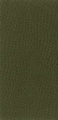 Kravet Basics fabric in nuostrich-30 color - pattern NUOSTRICH.30.0 - by Kravet Basics