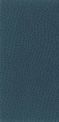 Kravet Basics fabric in nuostrich-5 color - pattern NUOSTRICH.5.0 - by Kravet Basics
