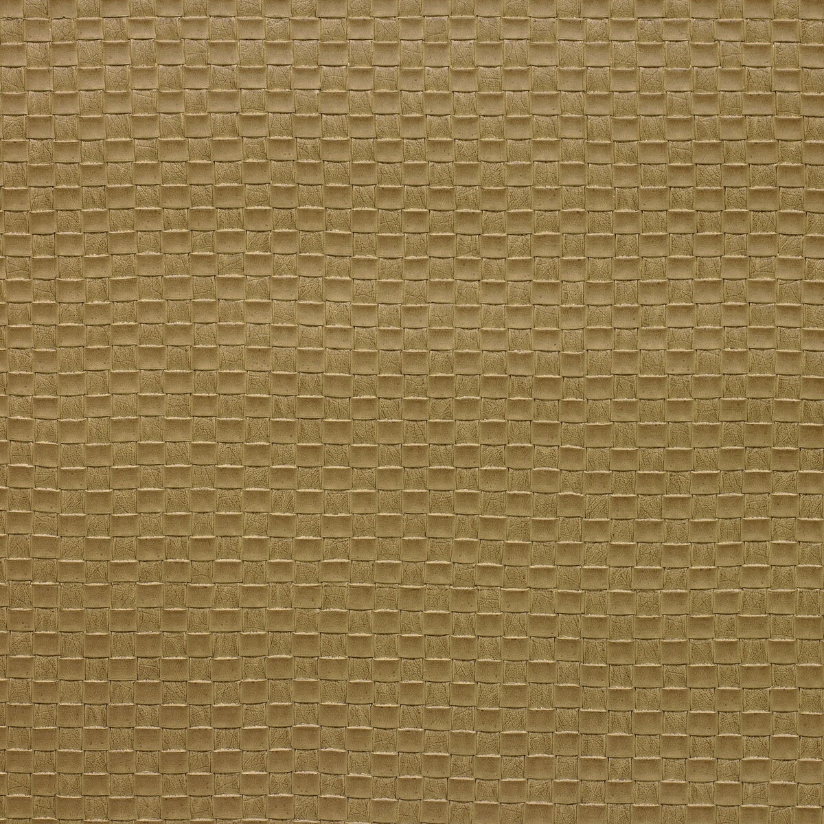 Kravet Design fabric in olia-16 color - pattern OLIA.16.0 - by Kravet Design