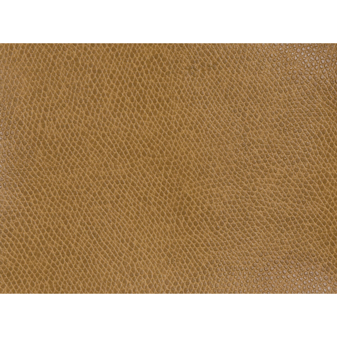 Ophidian fabric in cognac color - pattern OPHIDIAN.124.0 - by Kravet Contract in the Sta-Kleen collection