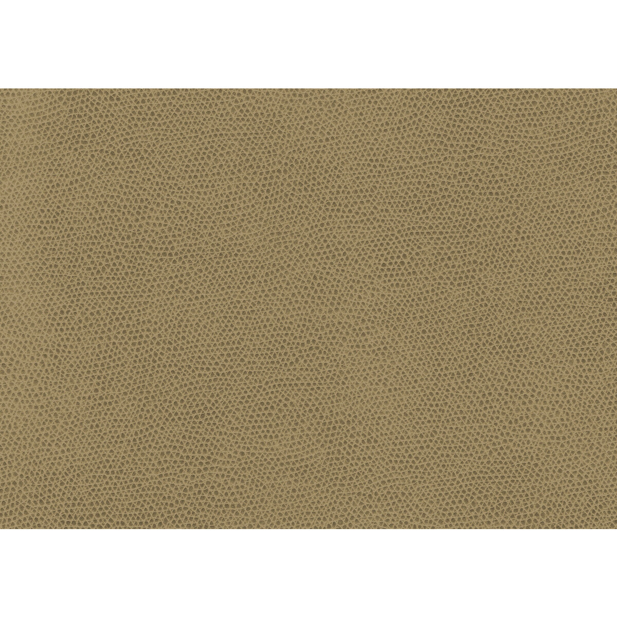 Ophidian fabric in wheat color - pattern OPHIDIAN.16.0 - by Kravet Contract in the Contract Sta-Kleen collection