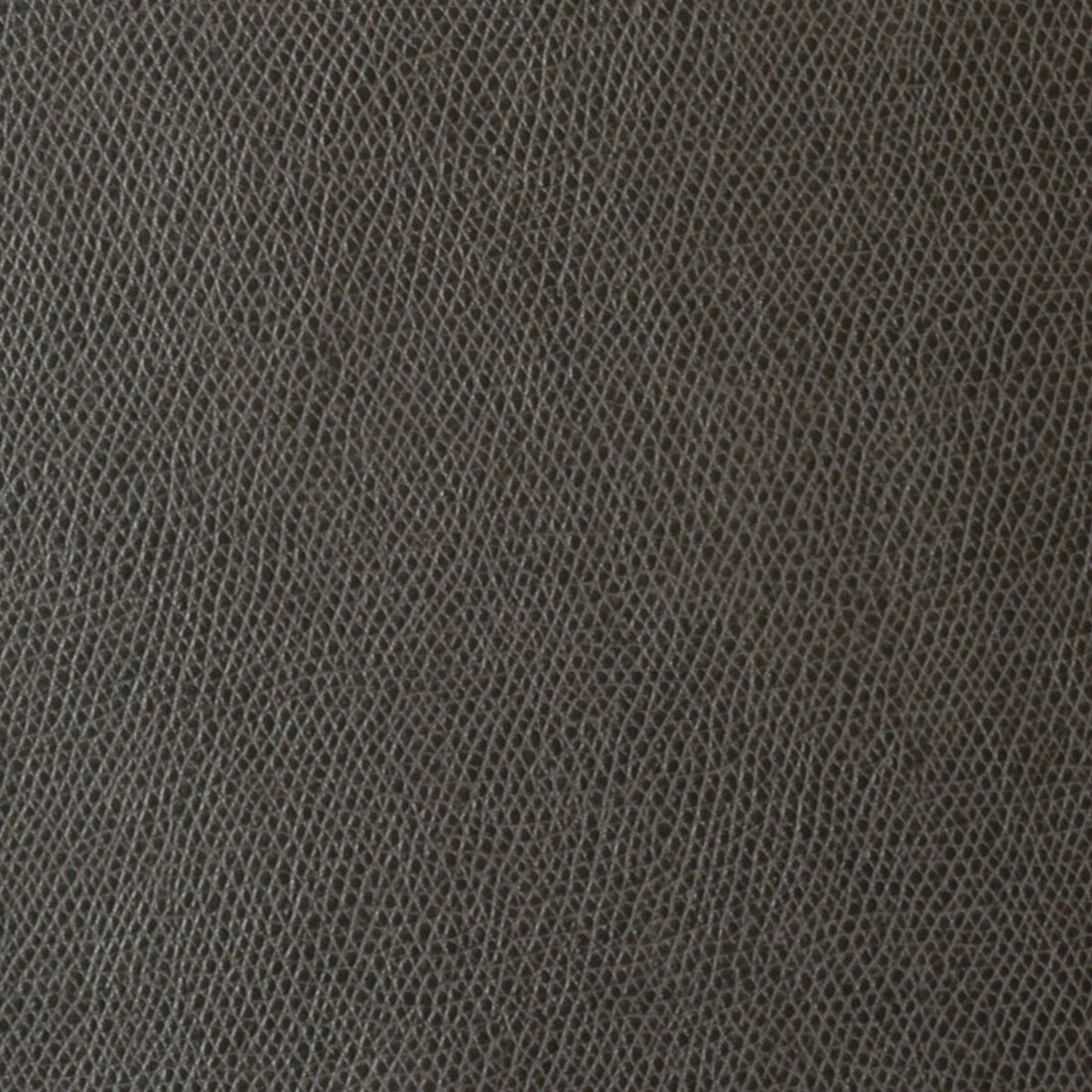Ophidian fabric in charcoal color - pattern OPHIDIAN.6.0 - by Kravet Contract in the Sta-Kleen collection