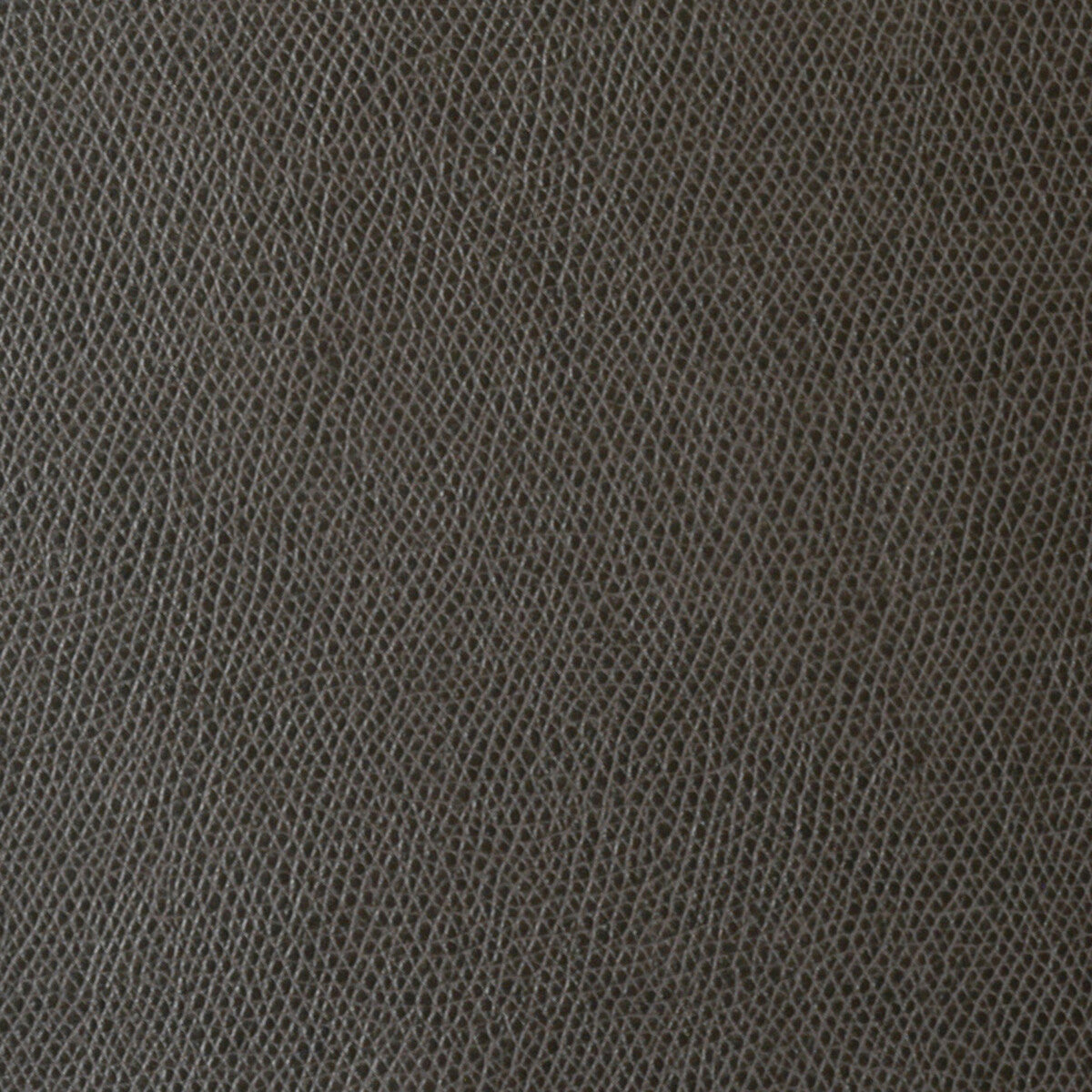 Ophidian fabric in charcoal color - pattern OPHIDIAN.6.0 - by Kravet Contract in the Sta-Kleen collection