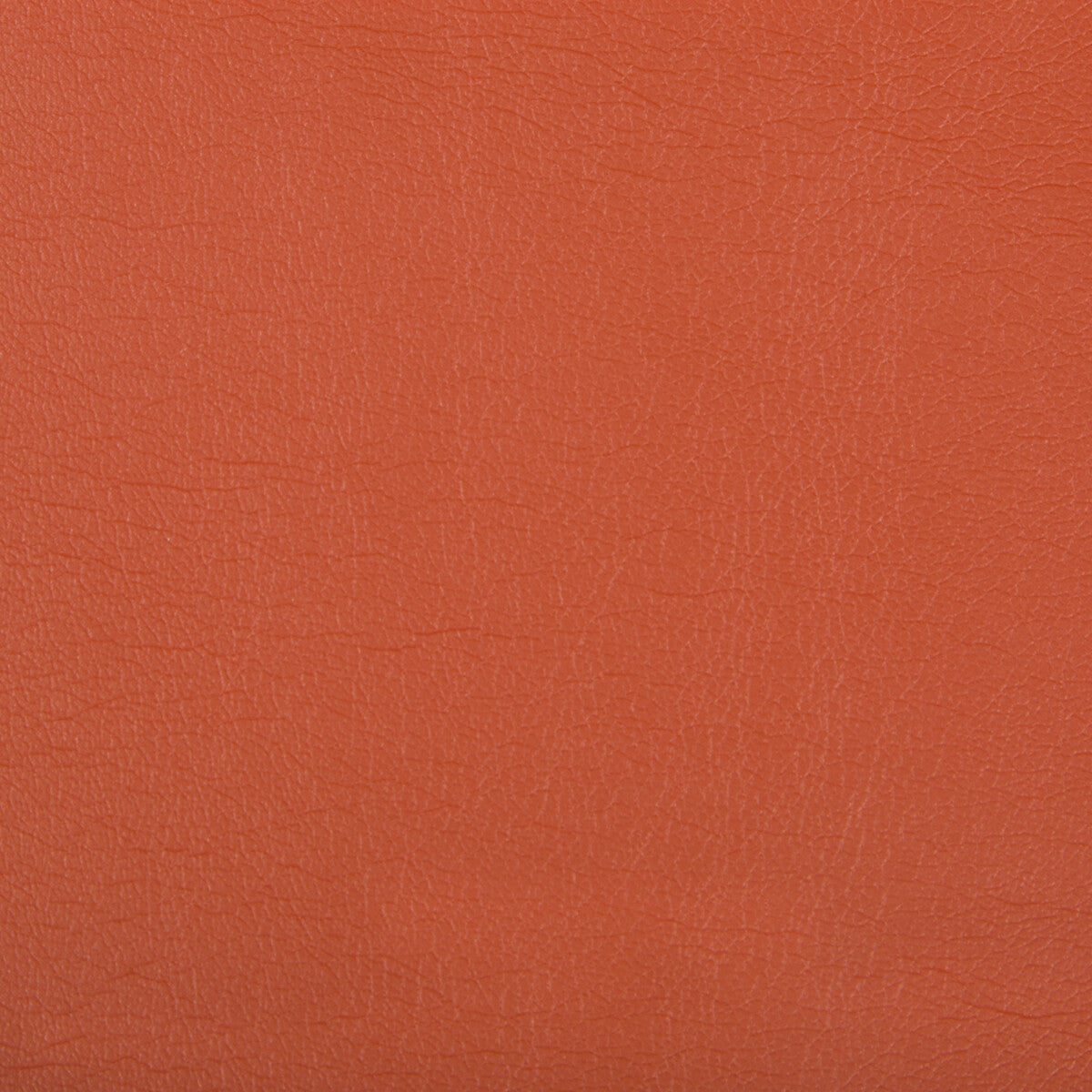 Optima fabric in nectarine color - pattern OPTIMA.12.0 - by Kravet Contract
