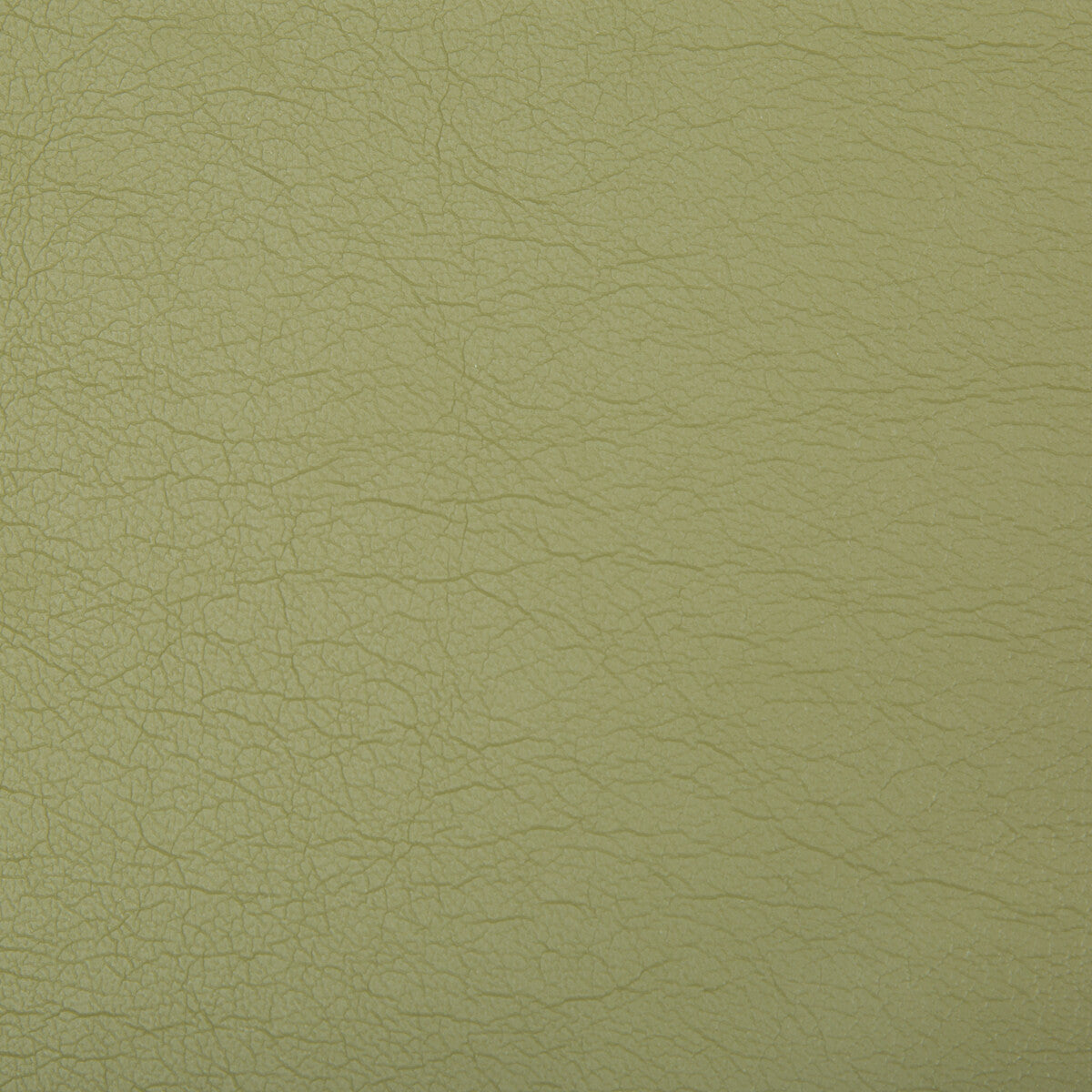 Optima fabric in green tea color - pattern OPTIMA.130.0 - by Kravet Contract