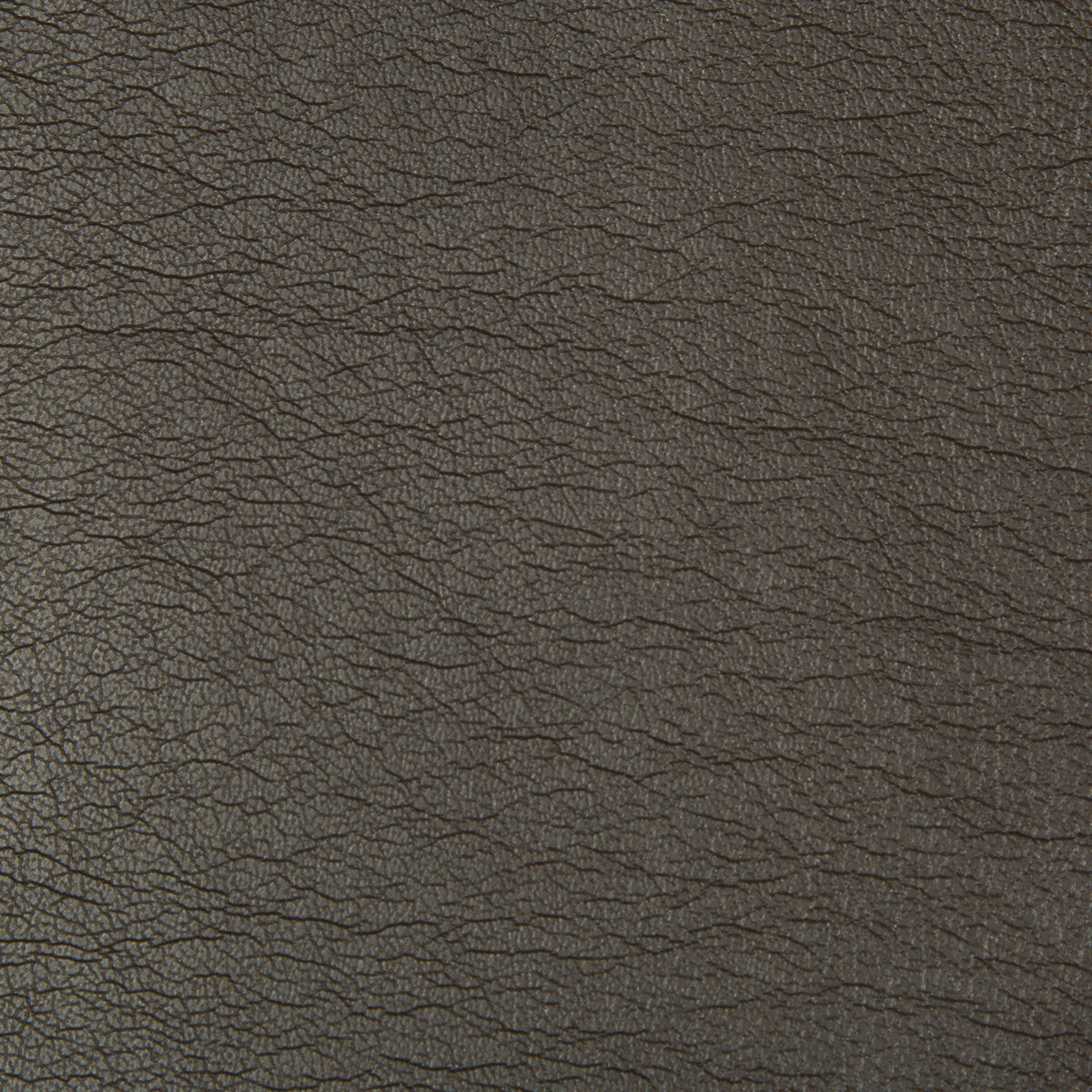 Optima fabric in chocolate color - pattern OPTIMA.86.0 - by Kravet Contract