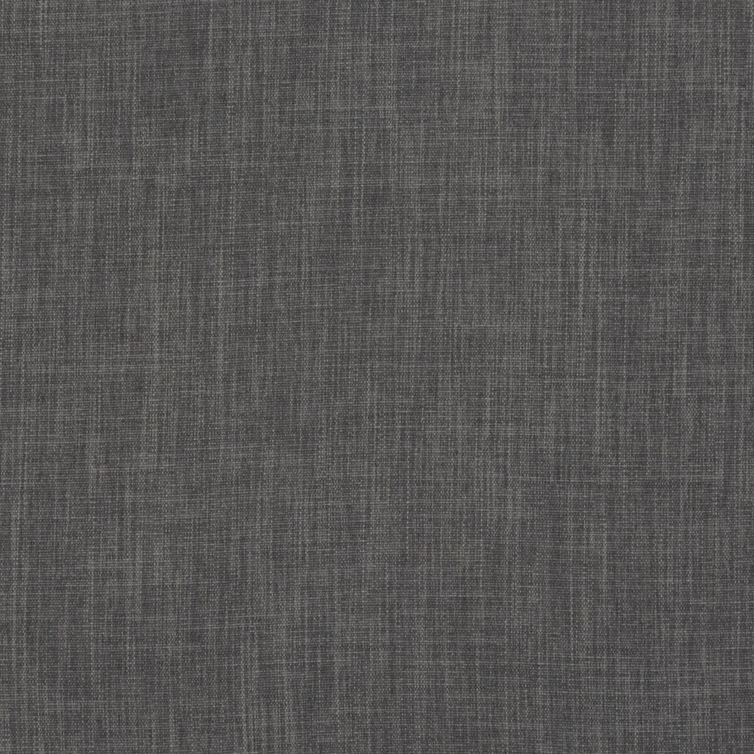 Fernshaw fabric in graphite color - pattern PF50410.970.0 - by Baker Lifestyle in the Notebooks collection