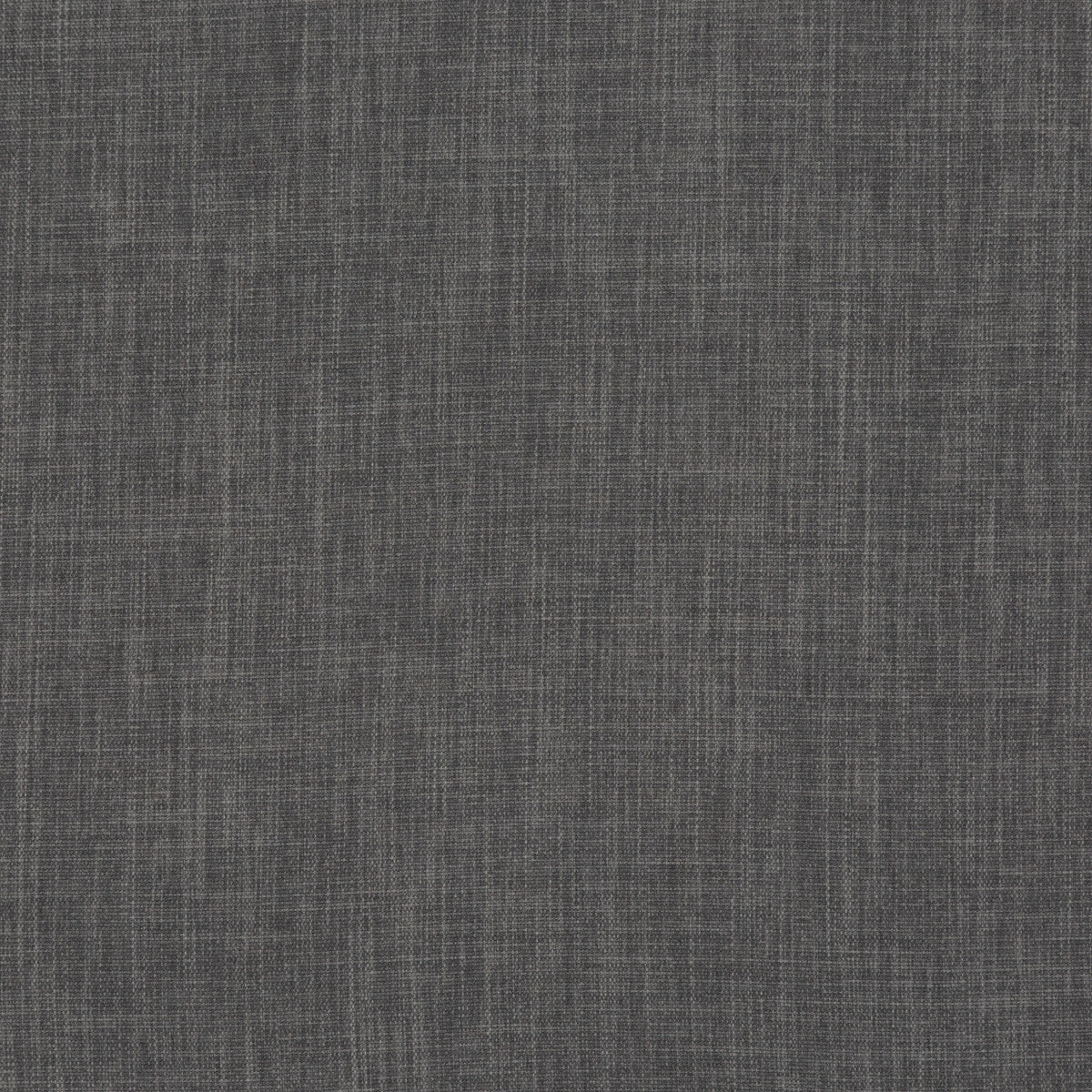Fernshaw fabric in graphite color - pattern PF50410.970.0 - by Baker Lifestyle in the Notebooks collection