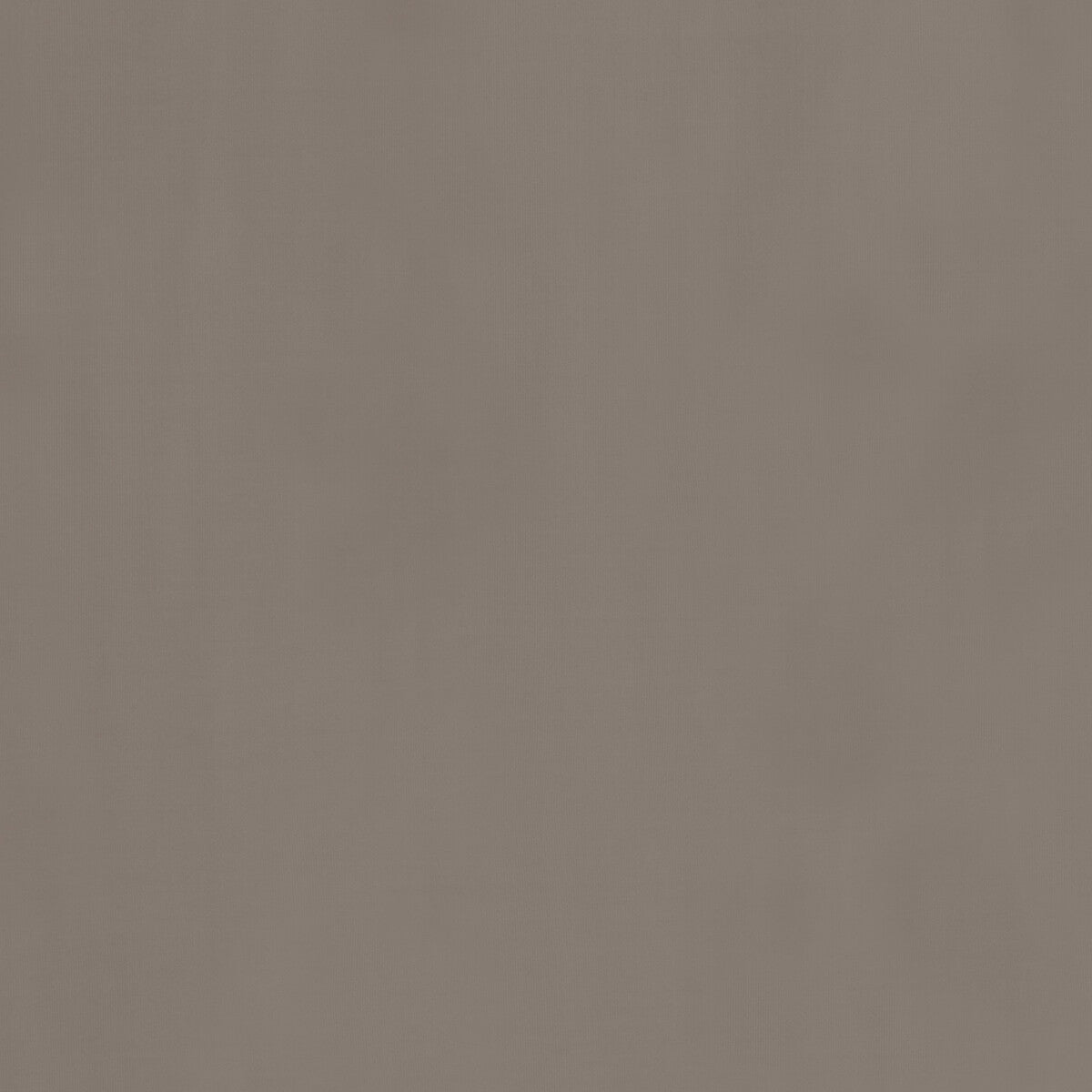 Milborne fabric in mink color - pattern PF50411.285.0 - by Baker Lifestyle in the Notebooks collection