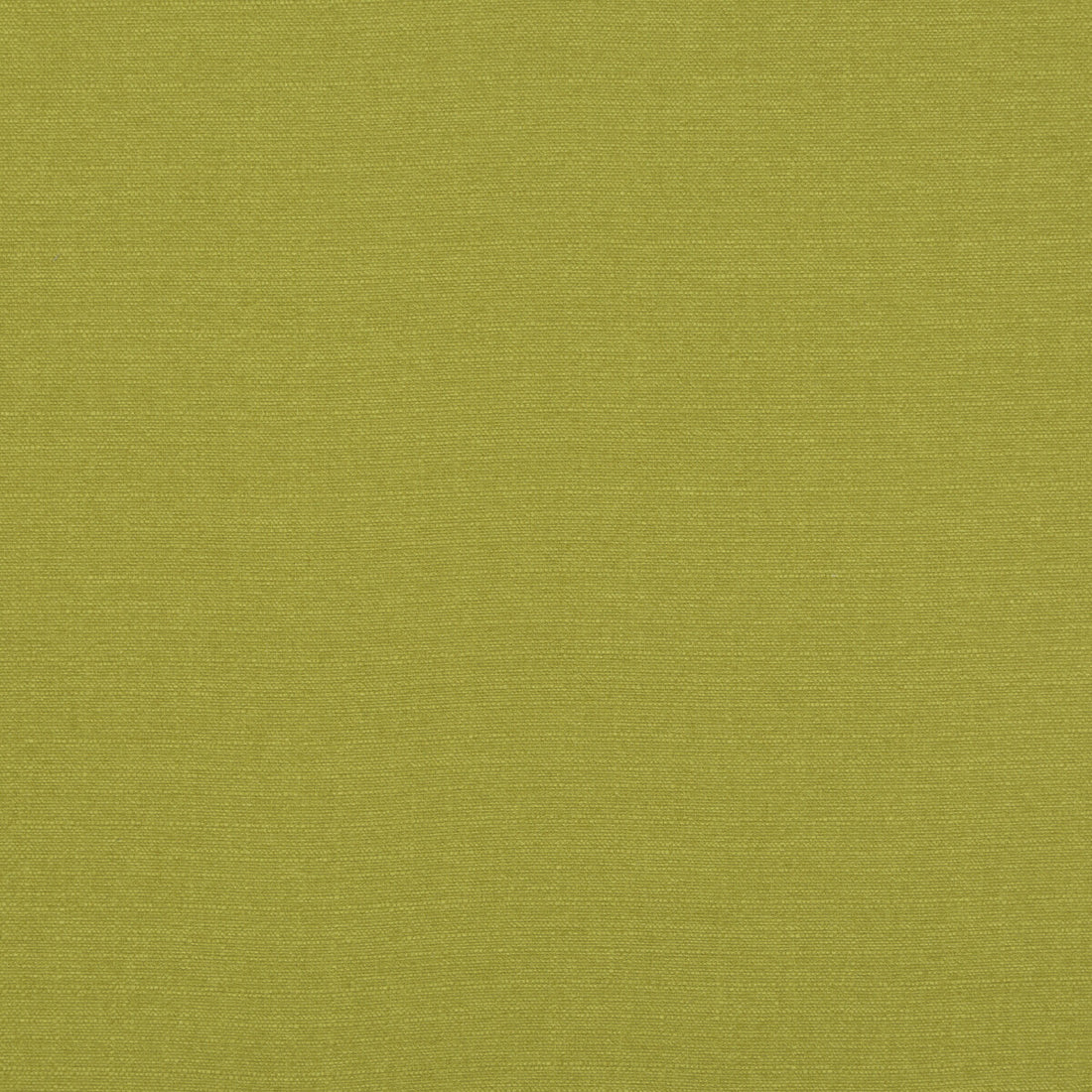 Lansdowne fabric in lime color - pattern PF50413.755.0 - by Baker Lifestyle in the Notebooks collection